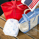 BRING IT Lunch Bag - DAVID’S AIRPLANE - Lunch Bags